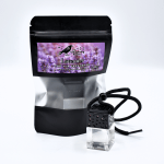 Lavender Car Air Freshener