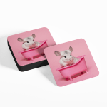 Chinchilla in a Bathtub Coasters