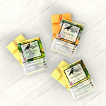 Citrus Breeze Soy Wax Melt Trays Pack of 3 - Pineapple, Papaya and Lemon & Lime