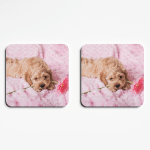 Cockapoo Puppy Dog Coasters