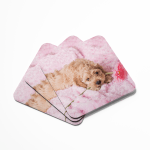 Cockapoo Puppy Dog Coasters
