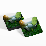 Golf Club and Ball Coasters