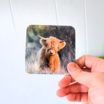 Whispering Raven Drinks Coasters