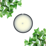 Peppermint Soy Wax Candle Tin