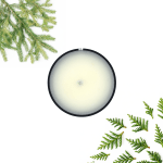 Evergreen Forest Soy Wax Candle Tin