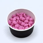 Brain Rot Handmade Soy Wax Mini Melts