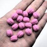 Brain Rot Handmade Soy Wax Mini Melts