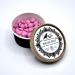 Brain Rot Handmade Soy Wax Mini Melts