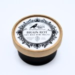 Brain Rot Handmade Soy Wax Mini Melts