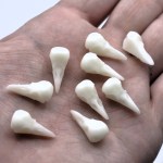 Ravens Rest Handmade Soy Wax Mini Melts